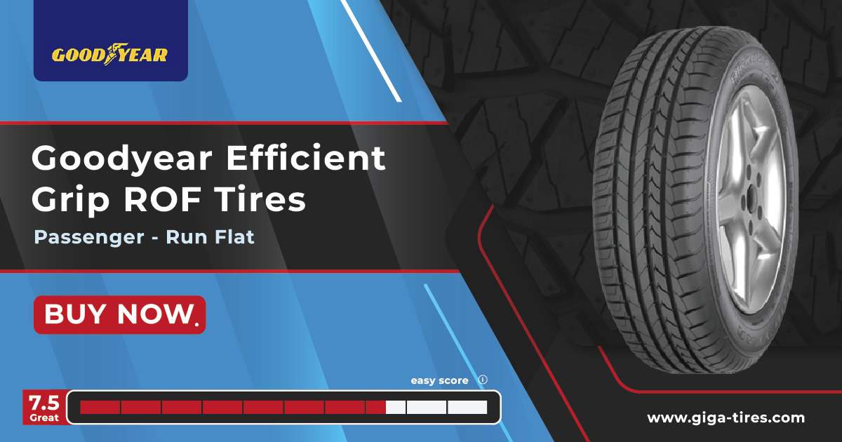 Goodyear Efficient Grip ROF