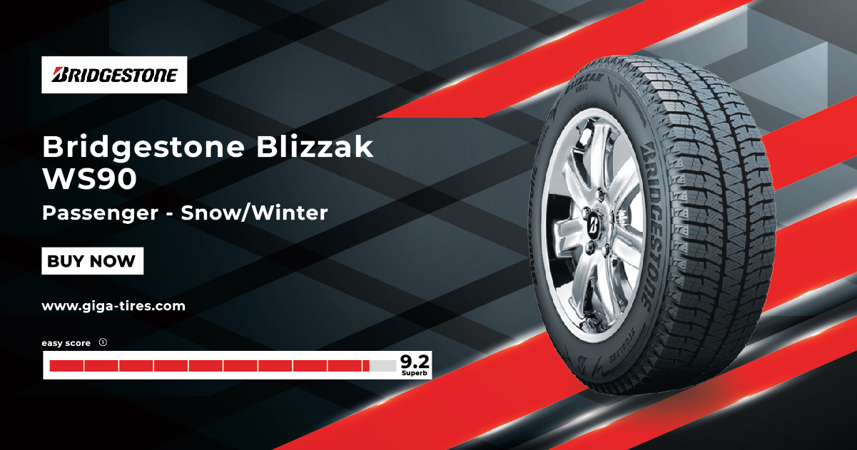 Bridgestone Blizzak WS90