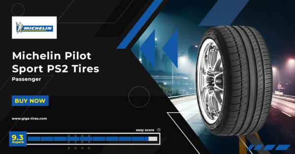 Michelin Pilot Sport PS2