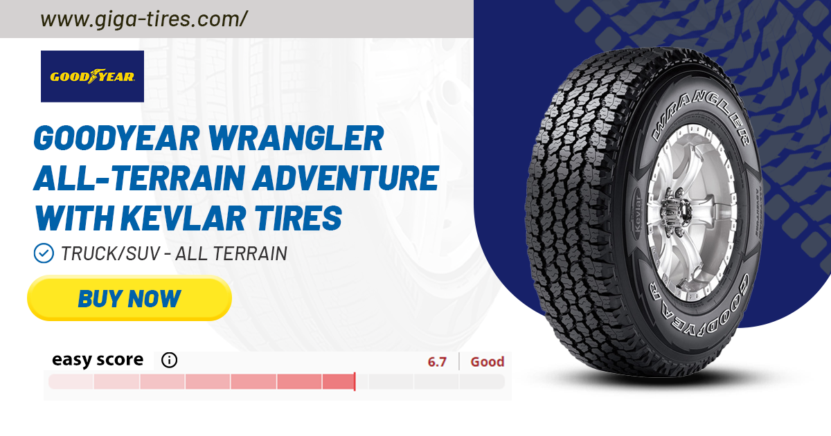 Goodyear Efficient Grip Performance ROF Tires