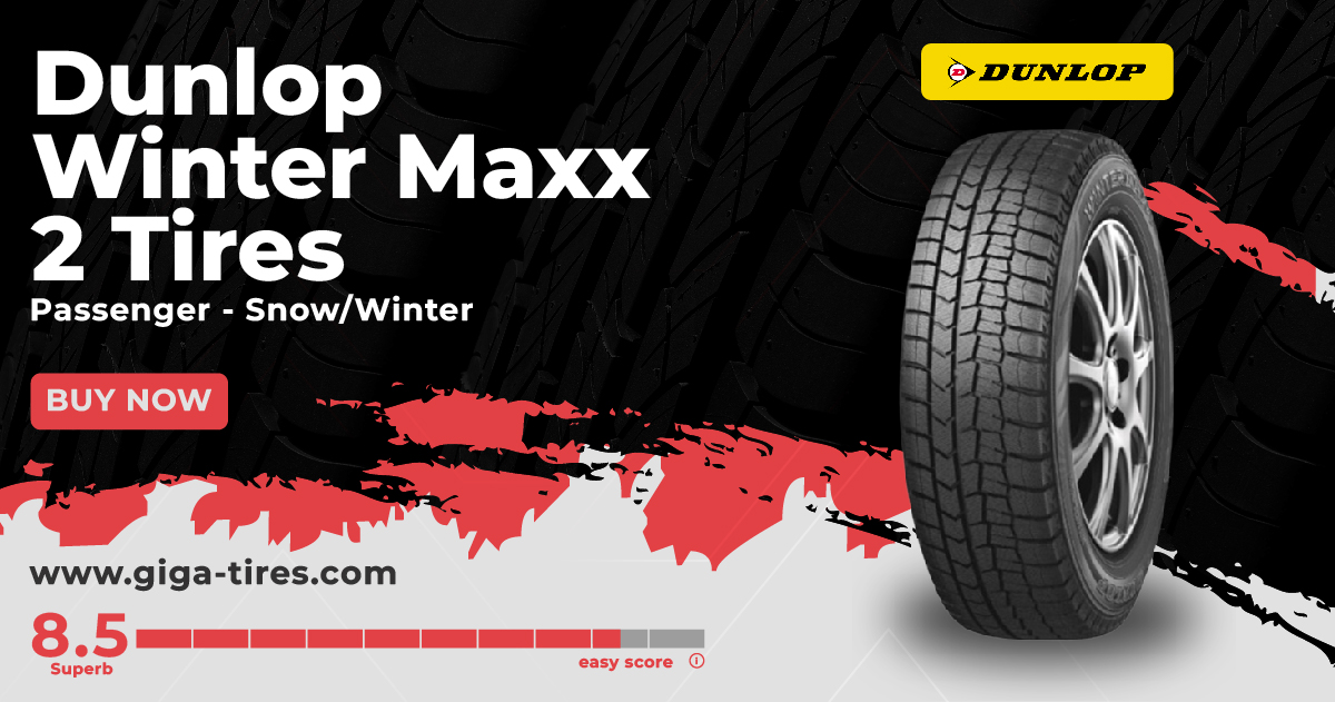 Dunlop Winter Maxx 2