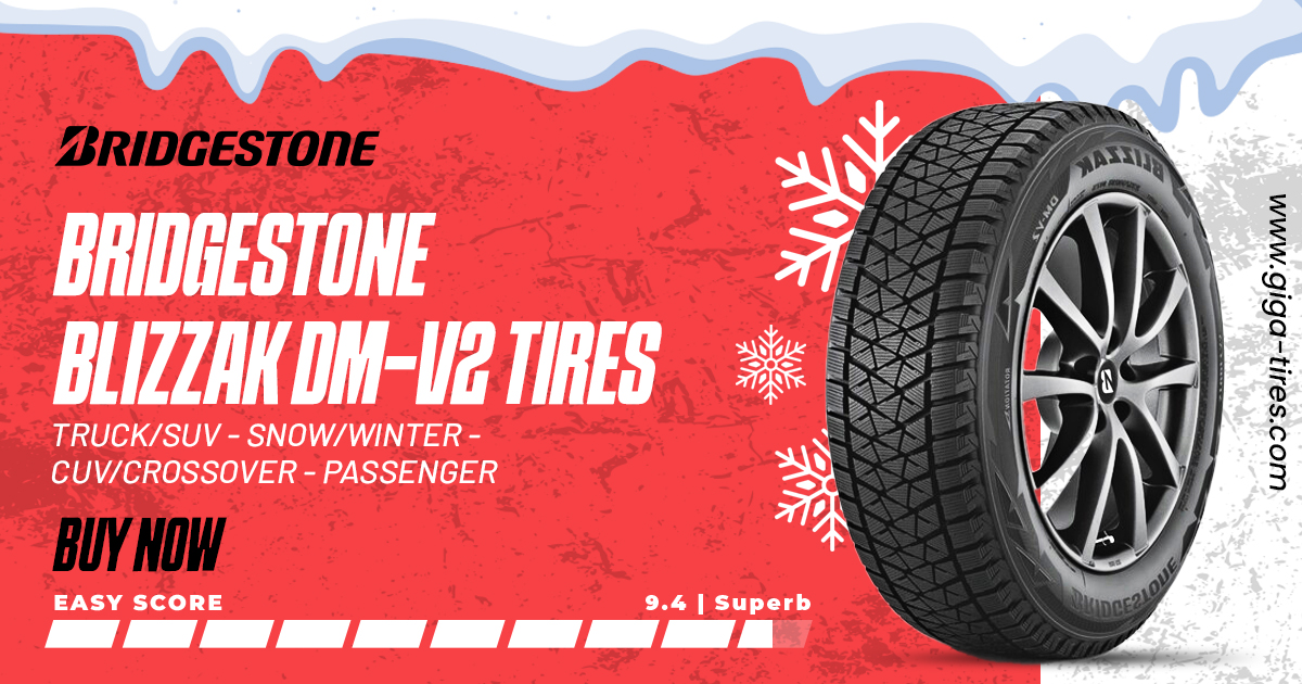 Bridgestone Blizzak DM-V2