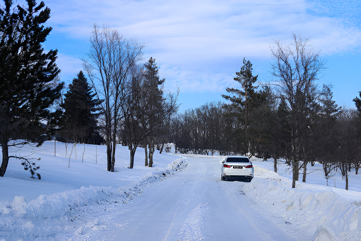 Best Winter Tires for Long Road Trips