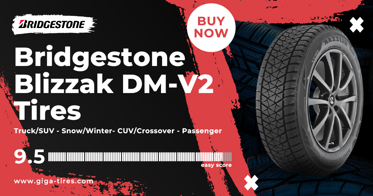 Bridgestone Blizzak DM-V2