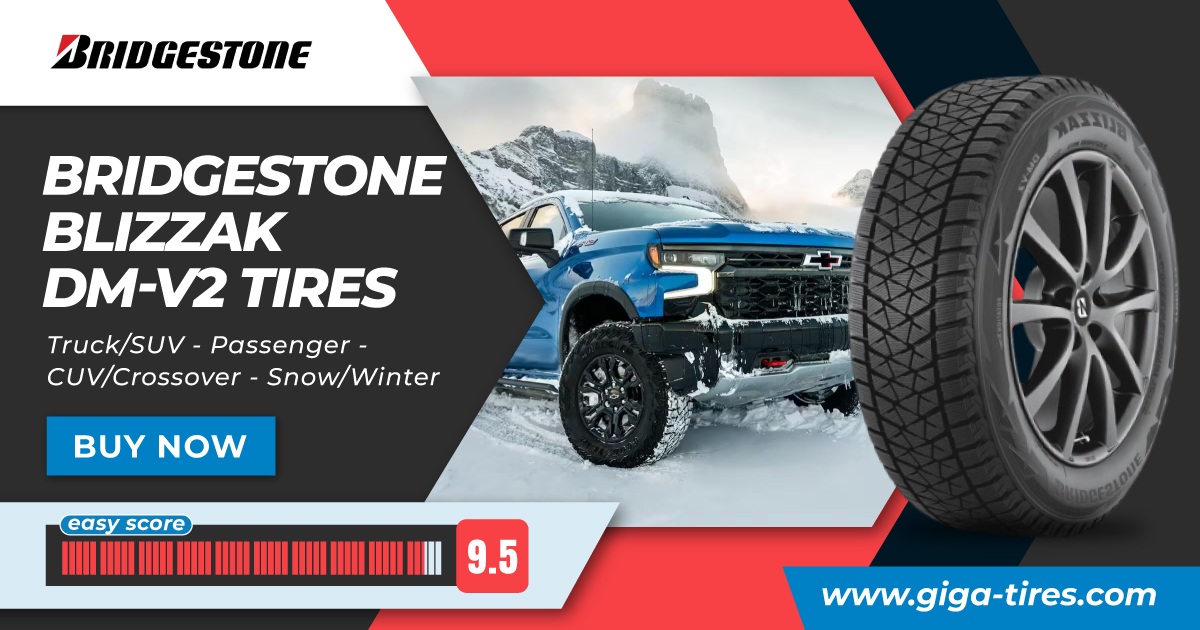 Bridgestone Blizzak DM-V2